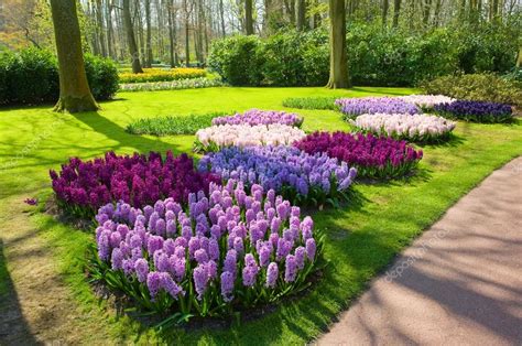 Keukenhof Çiçek Bahçesi | Stok fotoğrafçılık ©Buurserstraat38 ...