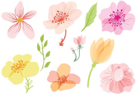 Set of floral frameworks for Photoshop — Summer flowers — Картинки и ...