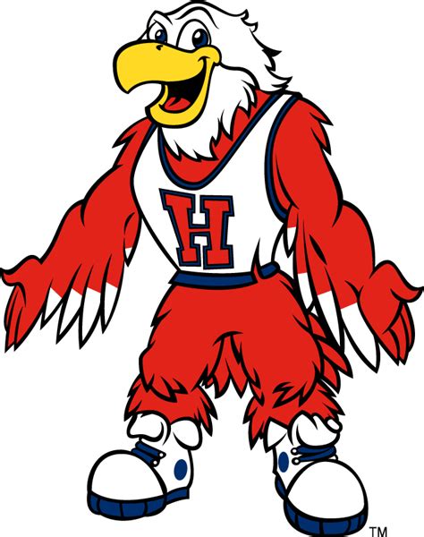 Hartford Hawks Mascot Logo - NCAA Division I (d-h) (NCAA d-h) - Chris ...