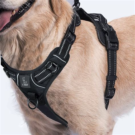 10 Best Dog Harnesses in 2021: Better for Them | Pet Territory