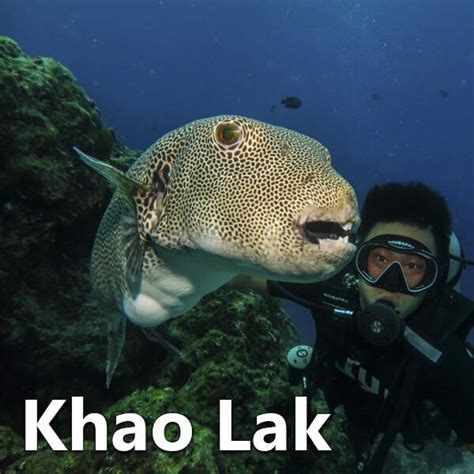 Discover Scuba Diving from Khao Lak - Khao Lak | Project Expedition