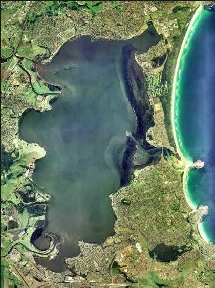 Fisheries ignores calls for Illawarra net ban - Fishing World