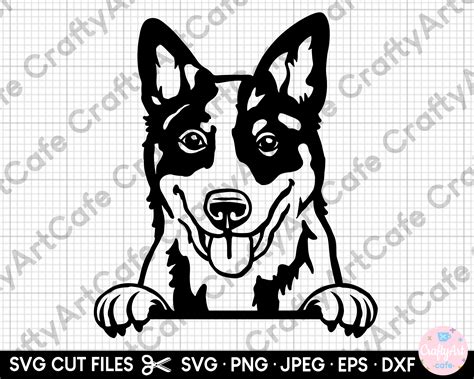 Blue Heeler Peeking Svg Cricut Cutting Cut File Png Eps Dxf - Etsy