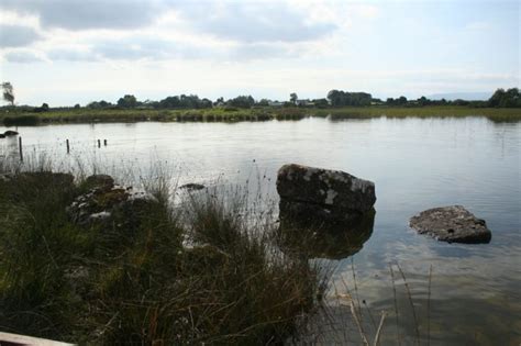 Crayfish Habitat by Saliha yesim Tunali – lough carra catchment association