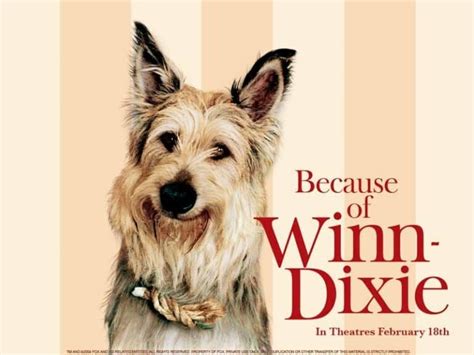 What Dog Breed is Winn-Dixie