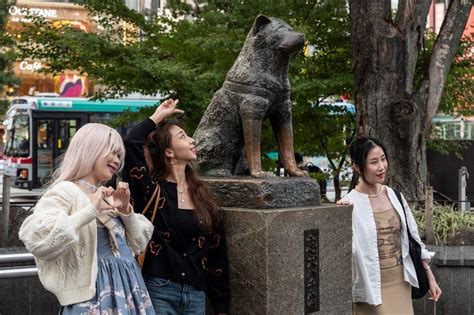 Hachiko, Japan's ever-faithful dog, turns 100