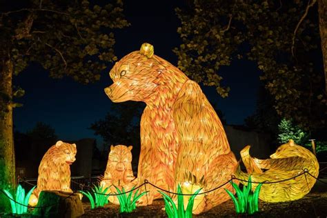 5 Things To Do This Weekend, Including A Lantern Festival And Summer ...