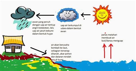 ekosistem keseimbangan biotik dan abiotik: Siklus Air