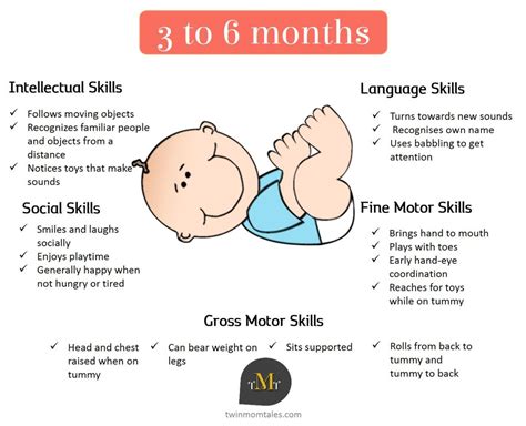 Moms Hub: 6 months baby developmental milestones