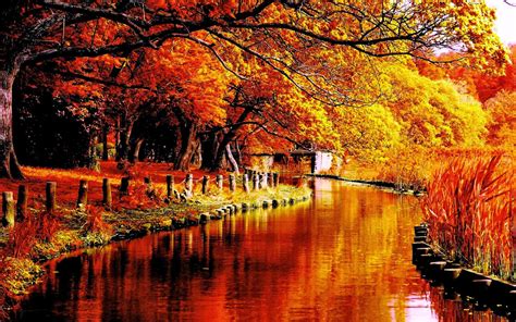 Autumn River Wallpapers - Wallpaper Cave