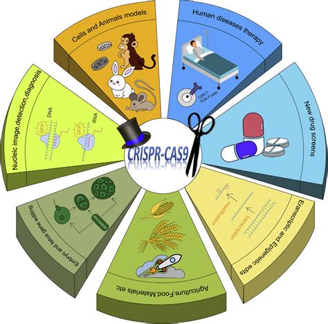 Applications of CRISPR-Cas9 Genomic Engineering As a genetic and ...