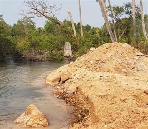 Kampot Mangrove Filling Work Suspended ⋆ Cambodia News English