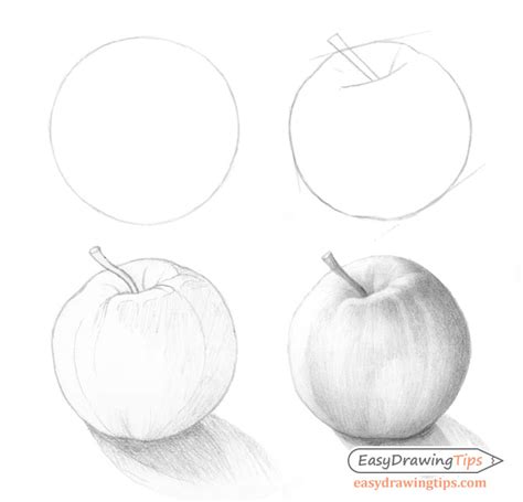 Sketch Realistic Apple Drawing