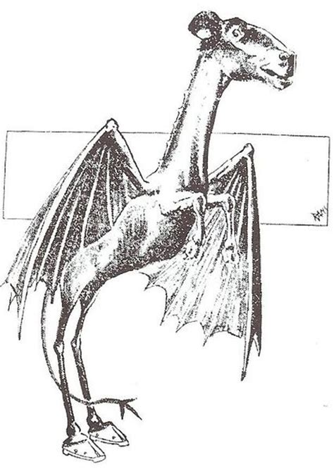 Jersey Devil Sightings and the Story Behind the Legend | Exemplore