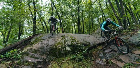 Review: Mountain Creek Bike Park - The Loam Wolf