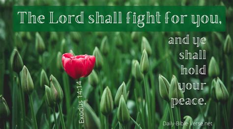 Daily Bible Verse | Encouragement | Exodus 14:14 (NIV)