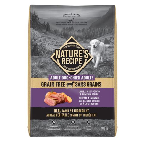 Grain Free Dog Food Walmart Canada : Beyond Grain Free Natural Dry Cat ...