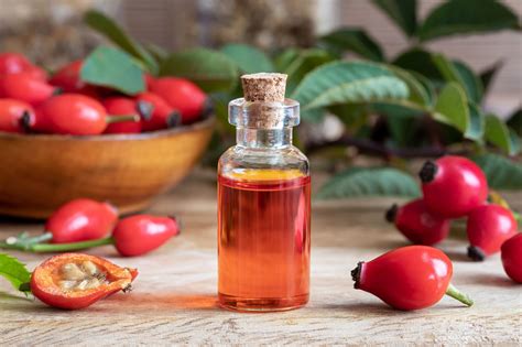 Ingredient Feature: Rosehip Oil - Lulu & Boo Organics