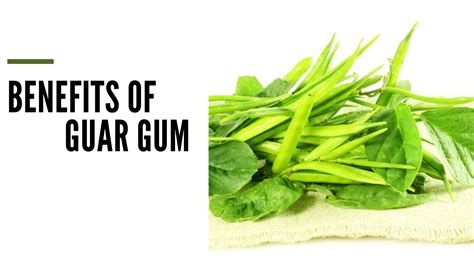 Guar Gum: Health Benefits And Side Effects - Apps Review