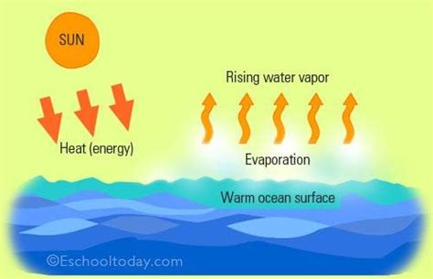 Hydrological Cycle | Geography Revision