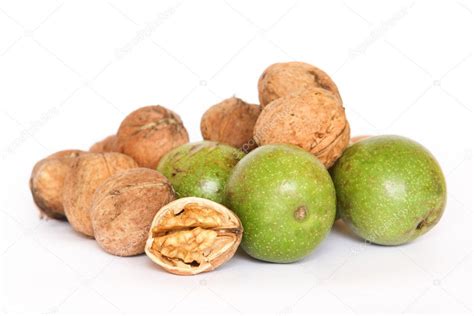 Fresh walnut ⬇ Stock Photo, Image by © orhancam #2205163