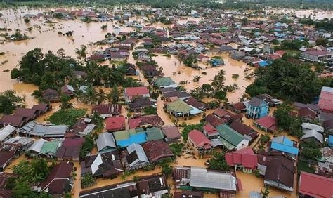 Degradasi Hutan Jadi Sumber Utama Banjir Bandang di Kalimantan Selatan ...