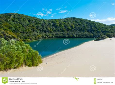 Fraser Island, Queensland, Australia Stock Image - Image of lake ...