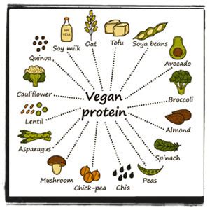 Where do vegans get their protein? | Vegan Nook