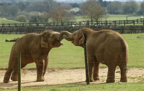 The best things to do in Luton