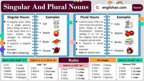 Singular and Plural Nouns with Rules and Examples • Englishan