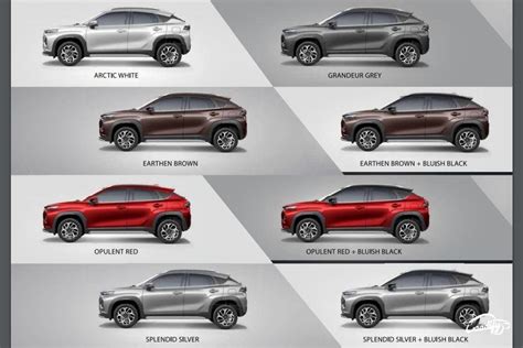 Maruti Suzuki Fronx - All Colour Options Explained - GaadiFy