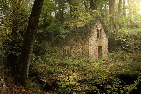 Cabin In The Woods | Cabins in the woods, Cabin design, Abandoned