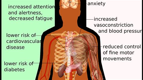 Effects Of Energy Drinks On The Body - Energy Choices