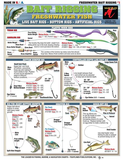 Bait Rigging and Knot Tying techniques for Inshore Freshwater Bass ...