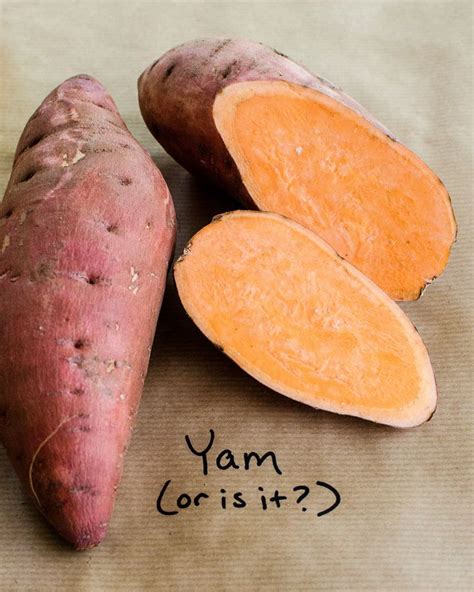 What’s the Difference Between Yams and Sweet Potatoes? | Sweet potato ...