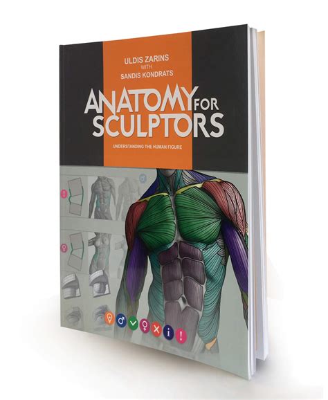 Anatomy For Sculptors Book : Download Flippednormals | Bodegawasuon