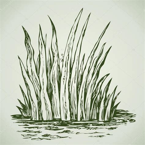 Green Grass Drawing at GetDrawings | Free download