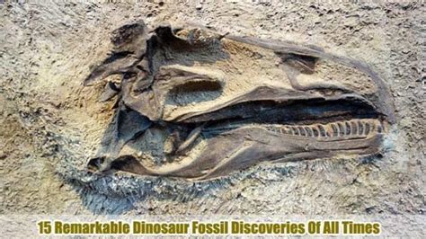 15 BEST Dinosaur Fossil Discoveries Of All Times | Bio Explorer