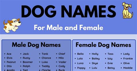 Dog Names: 100+ Most Popular Male and Female Dog Names • 7ESL