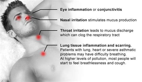 Health Effects of Haze (and How You Can Protect Yourself) | Bliss Air