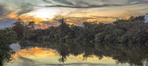 Sunset in the Amazon jungle Photograph by Juan Gabaldon