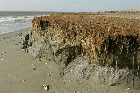 Free picture: beach, erosion, effects, coast