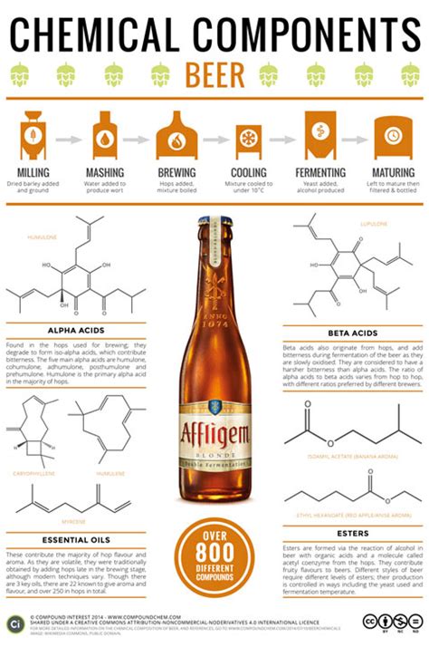 Infographic: What Gives Beer Its Flavor? | First We Feast