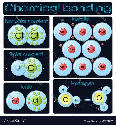 Types chemical bonding Royalty Free Vector Image