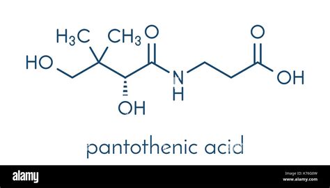 Vitamin B5 (pantothenic acid, pantothenate) molecule. Skeletal formula ...