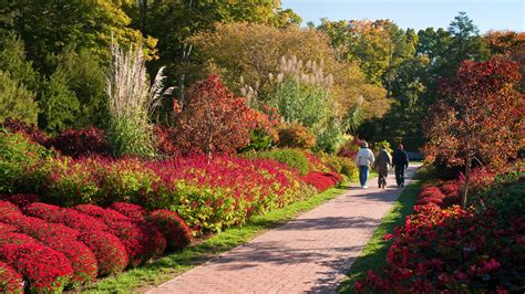 Longwood Gardens – Garden Review | Condé Nast Traveler