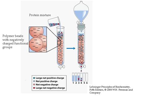 Ion Exchange Resin Column Design - Design Talk