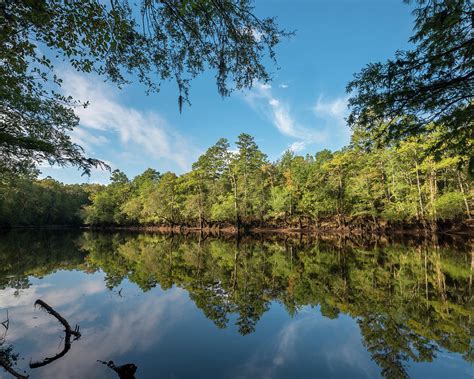 Edisto River Photograph by Patrick Lynch - Fine Art America