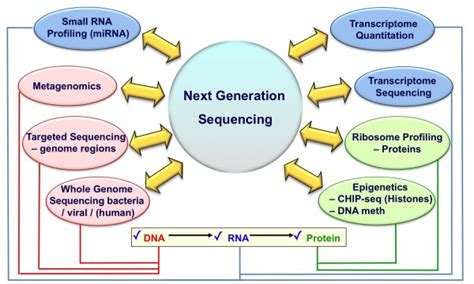 DNA sequencing technologies and emerging applications in drug discovery ...