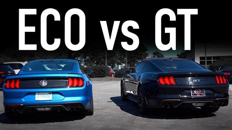 Ford Mustang Ecoboost vs GT...Twice The Cylinders, Twice As Good? - YouTube